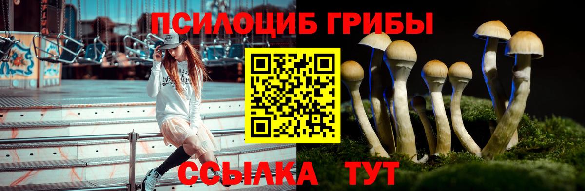 Псилоцибиновые грибы Cubensis  Вход с VPN  Уссурийск 
